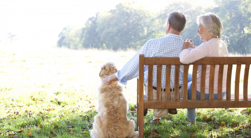 Ehepaar auf Holzbank mit Hund