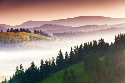 Schwarzwald im Nebe